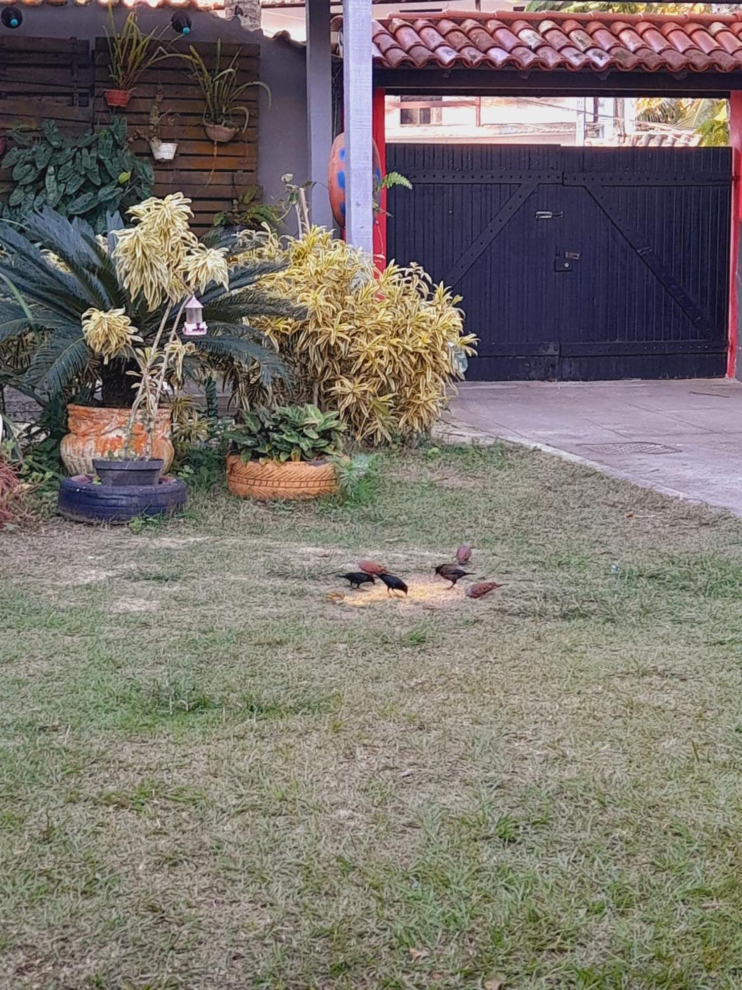 Pousada Flora Buzios Ngoại thất bức ảnh