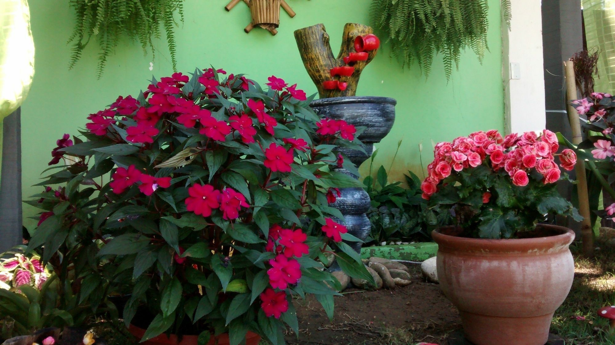 Pousada Flora Buzios Ngoại thất bức ảnh